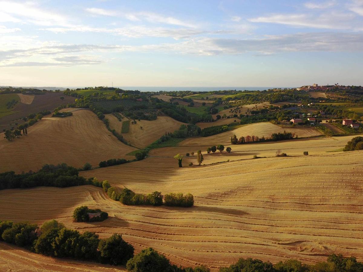 Bed and Breakfast La Meriggia Senigallia Agriturismo Анкона Экстерьер фото